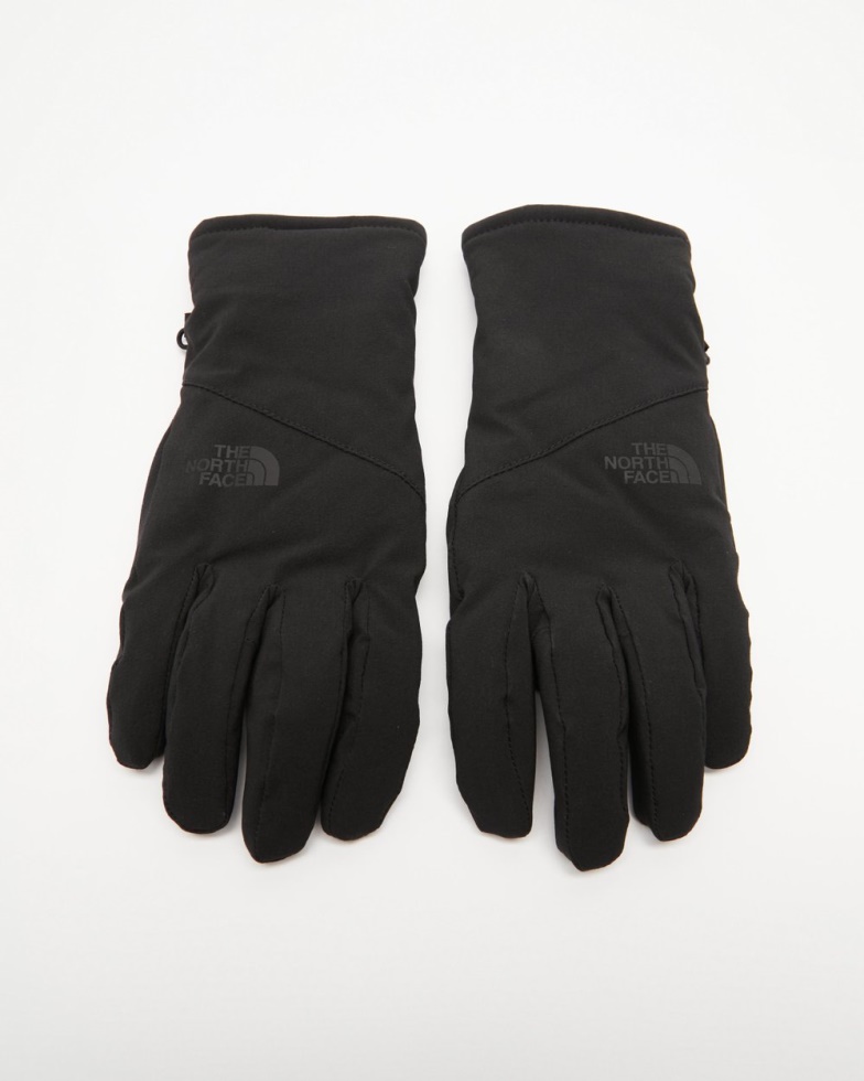 Black The North Face Shelbe Raschel Etip Gloves