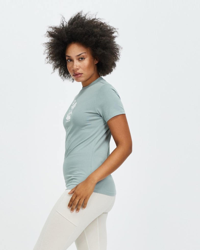 Silver Blue The North Face Short Sleeve Himalayan Bottle Source Tee