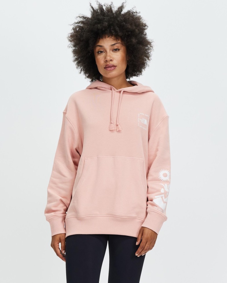 The North Face Rose Tan Himalayan Bottle Source Hoodie