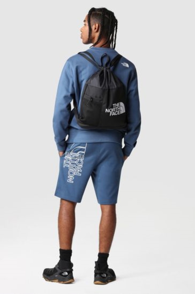 Blue Graphic Shorts The North Face