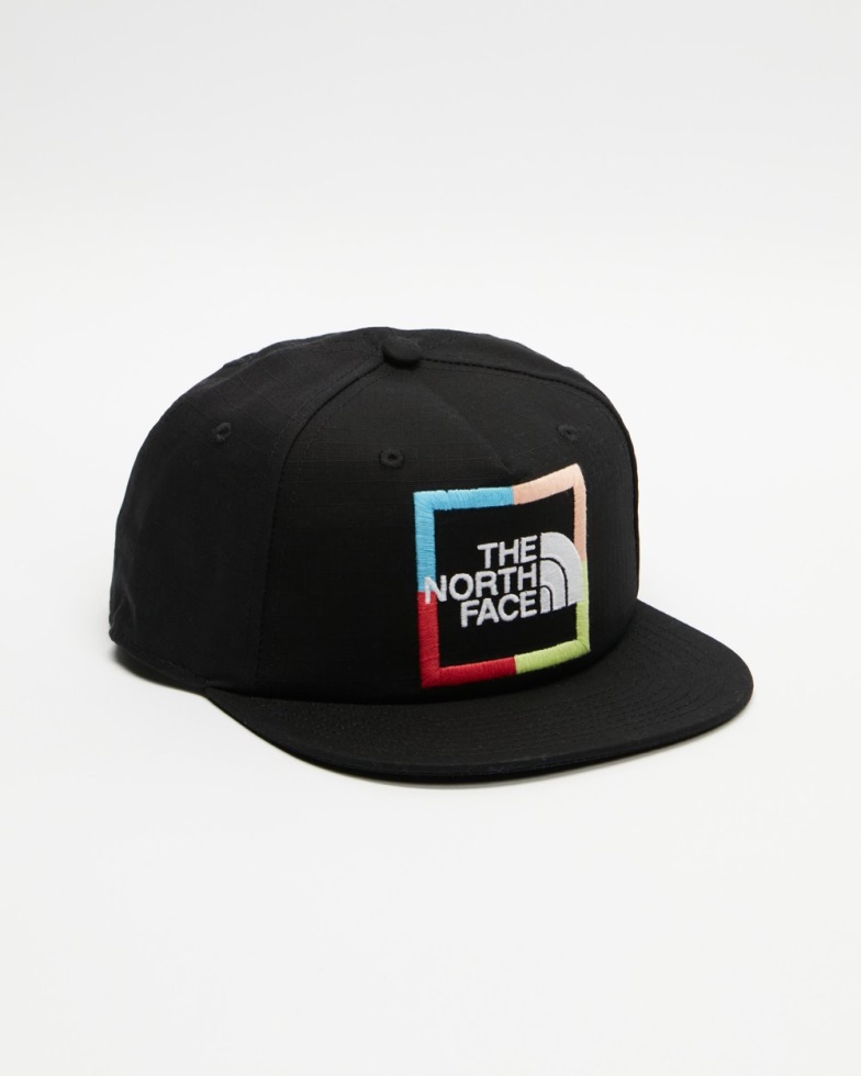 Coord Graphic Plaskett Ballcap The North Face