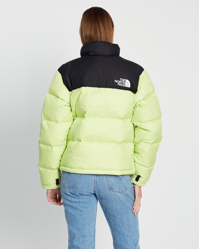 Green 1996 Retro Nuptse Jacket The North Face