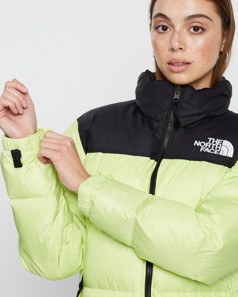 Green 1996 Retro Nuptse Jacket The North Face