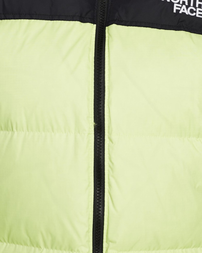 Green 1996 Retro Nuptse Jacket The North Face