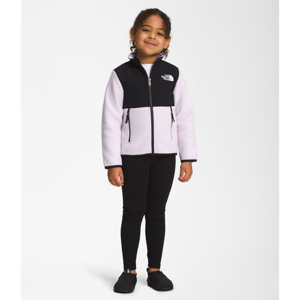 Kids Denali Jacket Lavender Fog The North Face