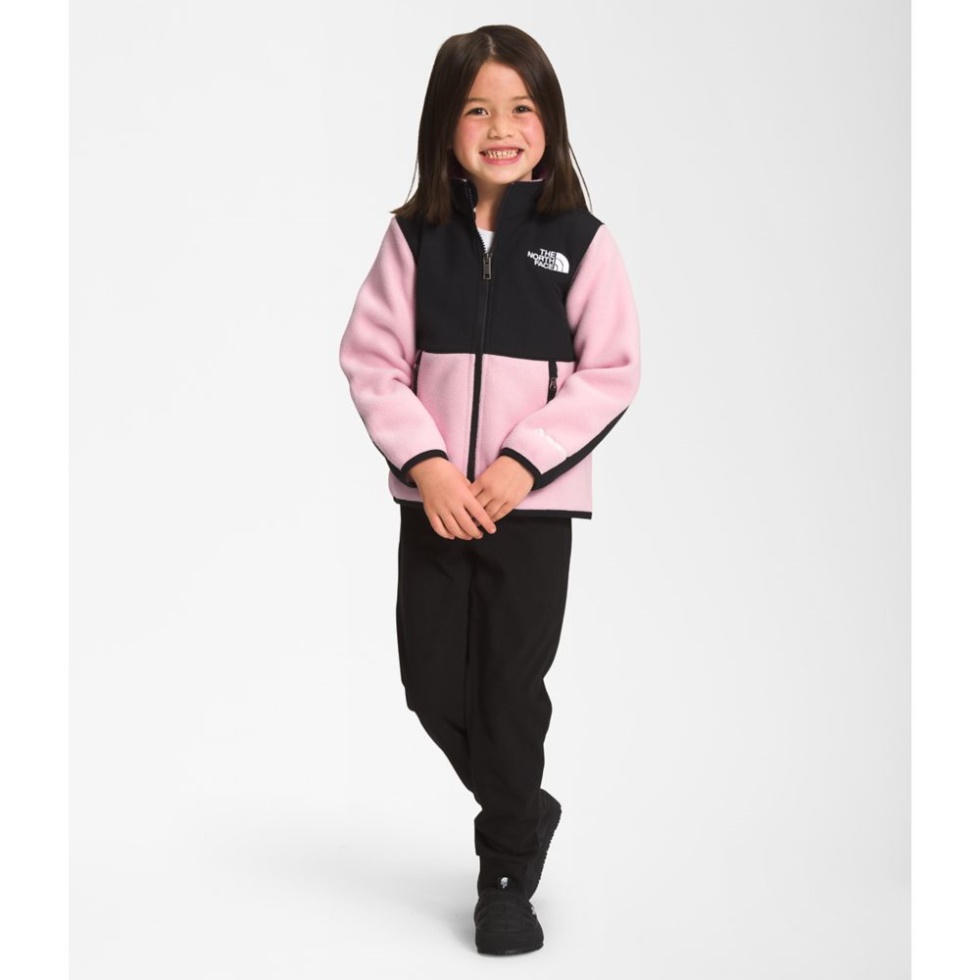 Kids Denali Jacket The North Face Cameo Pink