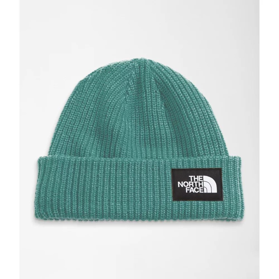 Salty Dog Beanie Wasabi The North Face