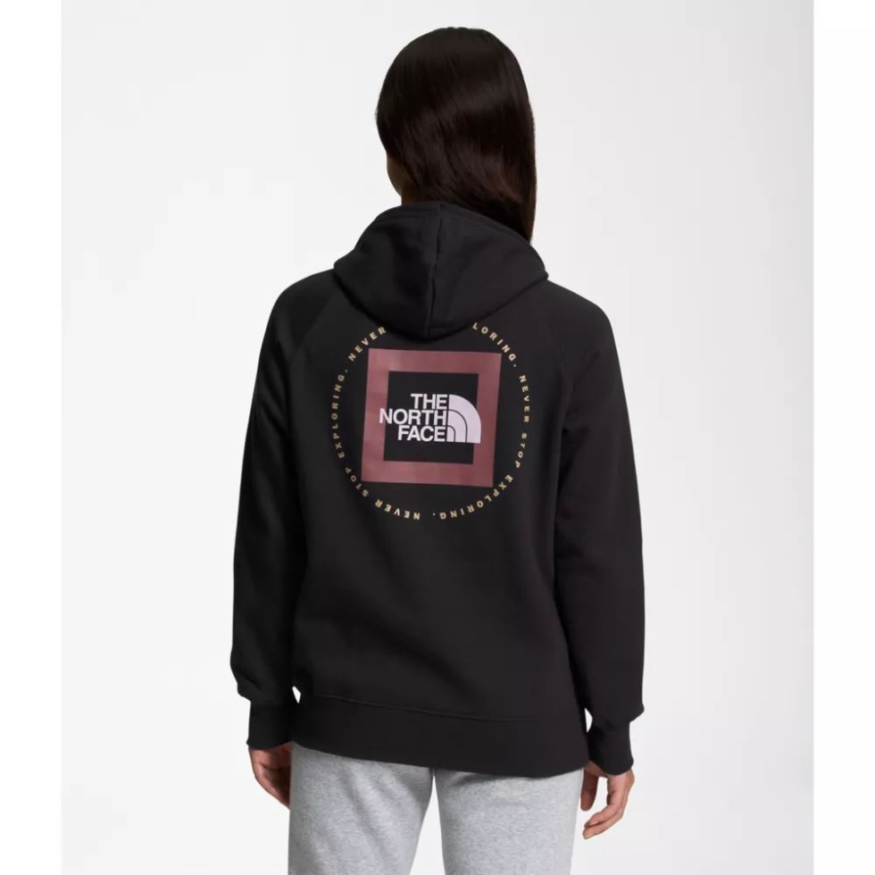 The North Face Black Women Geo Nse Hoodie