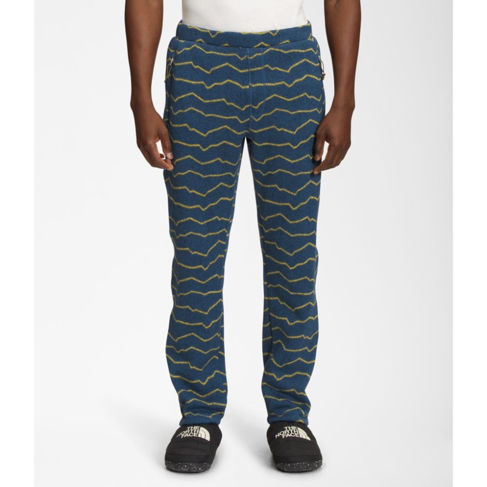 The North Face Men Printed Gordon Lyons Pants Brownie