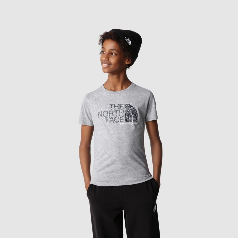 Boys Short Sleeve Graphic T-Shirt Grey The North Face