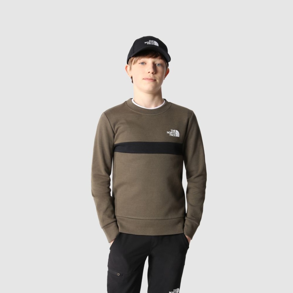 Boys Slacker Crew Neck Sweatshirt New Taupe Green The North Face