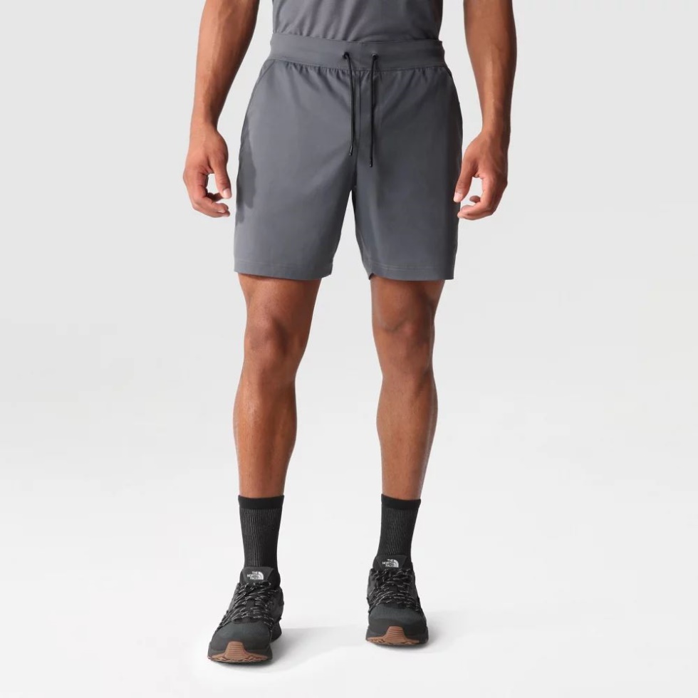 The North Face Men Reduce Shorts Grey