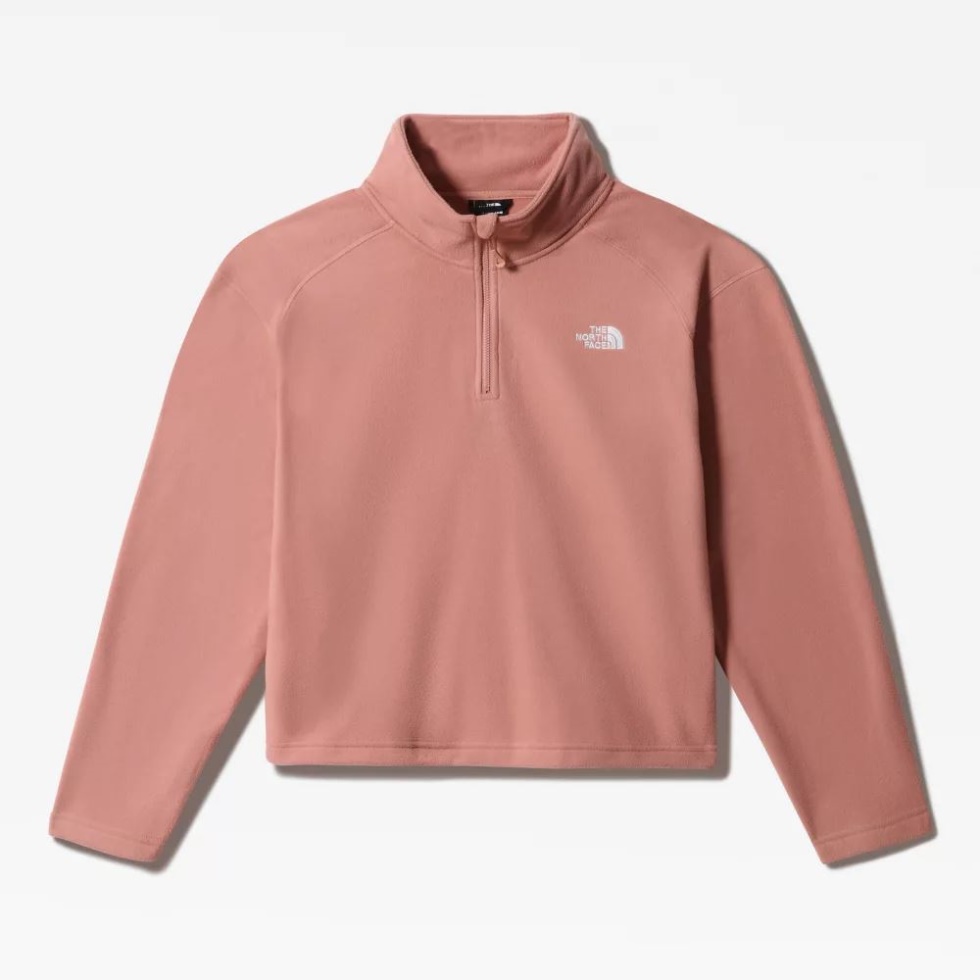 The North Face Rose Dawn Women Plus Size Glacier Cropped Fleece