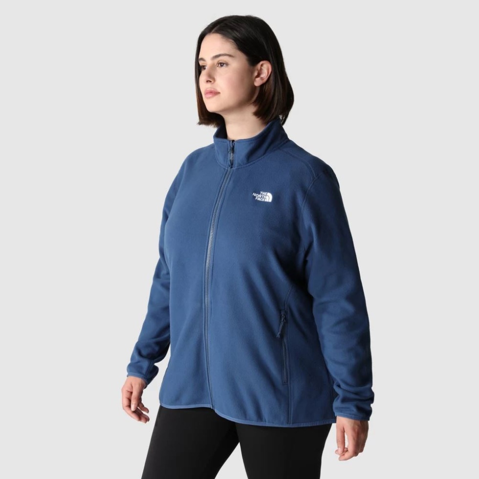 The North Face Shady Blue Women Plus Size 100 Glacier Full Zip Fleece