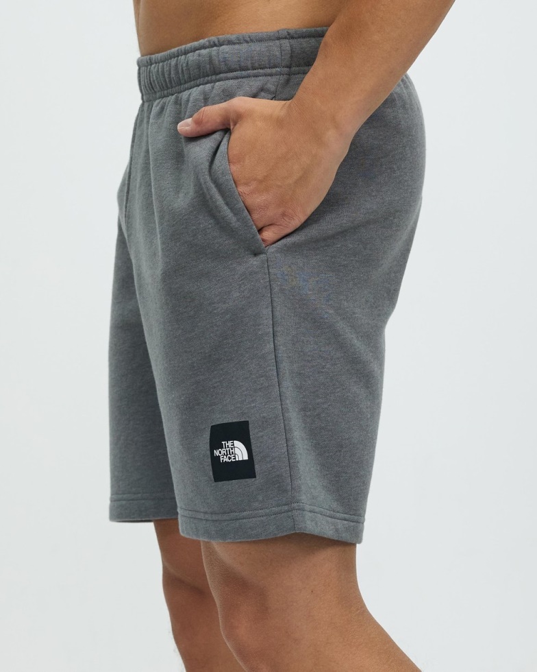 Grey The North Face Never Stop Shorts