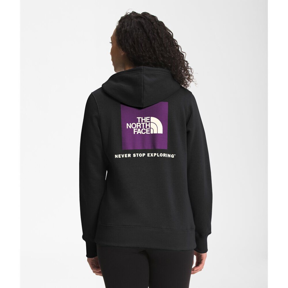 The North Face Black Women Box Nse Pullover Hoodie