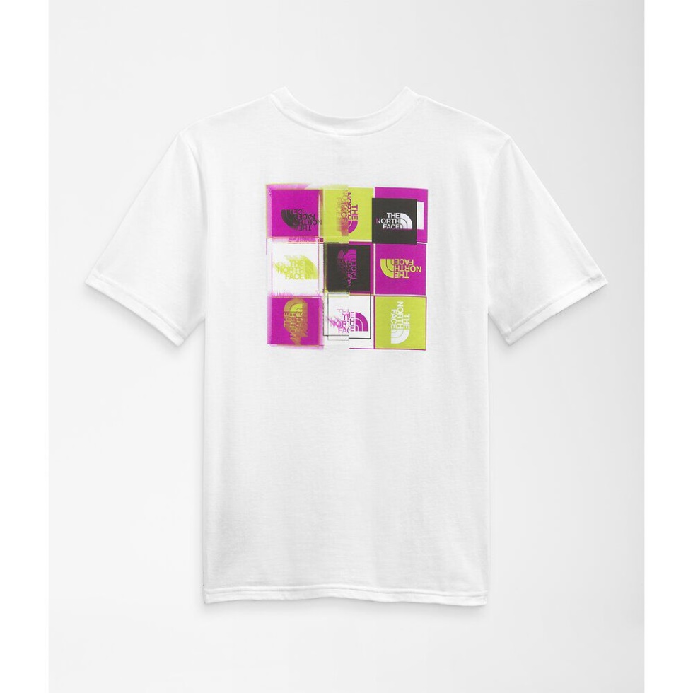 Boys Short Sleeve Graphic Tee The North Face White