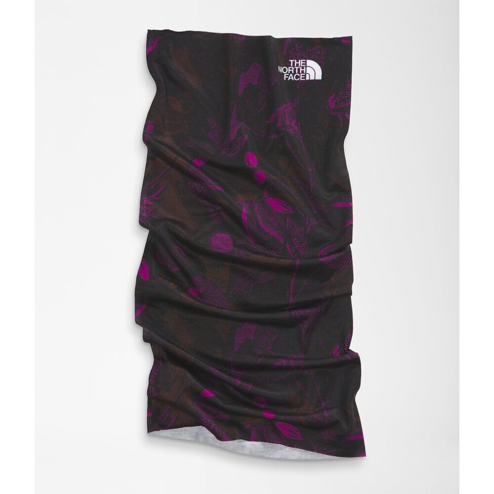 Roxbury Pink Dipsea Cover It The North Face