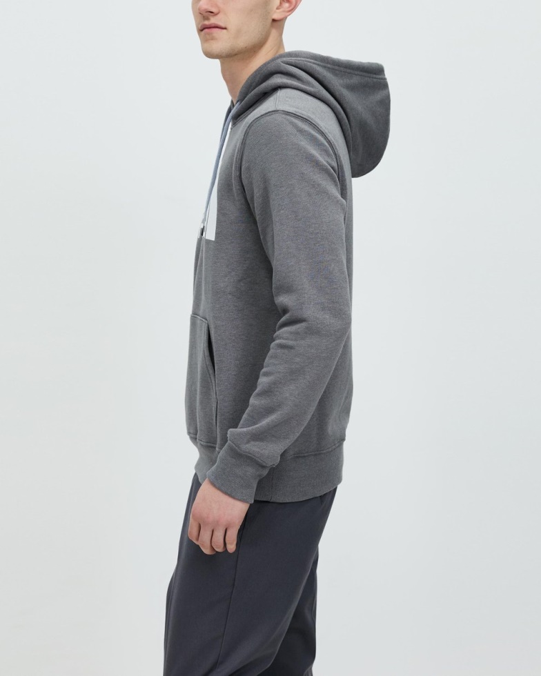 The North Face Grey Half Dome Pullover Hoodie