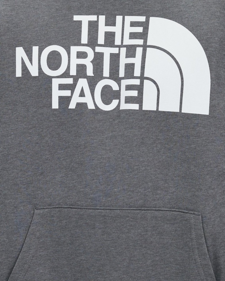 The North Face Grey Half Dome Pullover Hoodie